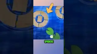 Can ninjas walk on water using &ldquo;water spider&rdquo; shoes? 😮