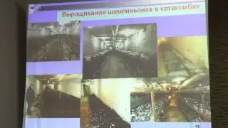 Защита растений: Ужевская С.П.: Вредители грибов в закрытом грунте