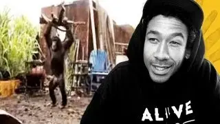 Drunks, Thugs & Monkeys With AK-47s - Adrian Williams' Pro's Picks