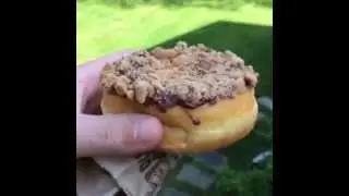 15 Second Food Review: Dunkin Donuts Chips Ahoy Creme Donut