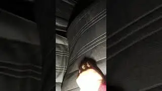 Экспортный вариант ЗАЗ Таврия Нова люкс