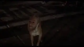Invasion of the Body Snatchers (1978) - Man Dog