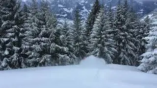 Freeriden Urnerland