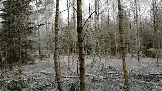 Vedgallring