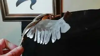 Spoon art bird
