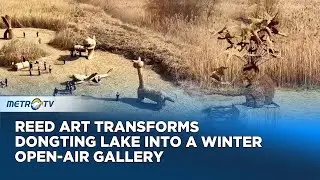 International Reed Art Festival Brings Nature and Art Together at Dongting Lake