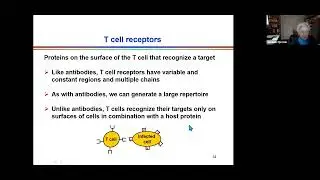 Immune Responses to Viruses and Vaccines