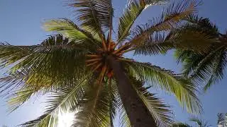 Mike Redfields - Chasing Sun (feat. Eileen Jaime) (Official Music Video)