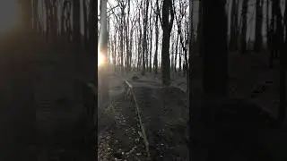 #mtb #downhill #enduro #foryou #mtbdownhill #mtbenduro #rower #train #zawszewkasku #edit #mtblife