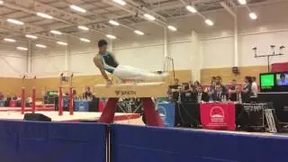 Miki Chu (Woking) at MLO2016 - PH (D: 6.0) - 11.950