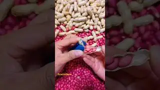 how to crake Peanut with your hands, cracking, dry fruits gadget #ytshorts #fruits #shots #fruitfarm