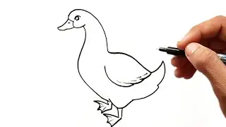 How to Draw Duck 🦆 | Duck Drawing for kids | Easy Duck Drawing 