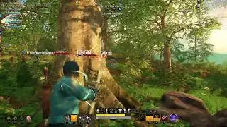 Ayo Vs Bink CK Defense ROUND 2! W (G9 BOW)