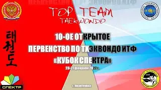 10-ое открытое Первенство по тхэквондо ИТФ 