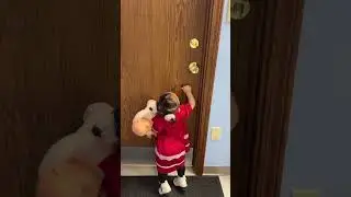 Knock, knock. Who&rsquo;s there? 😅 #shortvideo #youtubeshorts #shorts #short