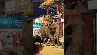 #travel #nature #sauraha #elephant #travel #vlog #nepal #world #viralshort