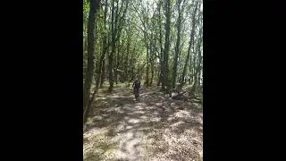 Poteca MTB Mesendorf-Viscri