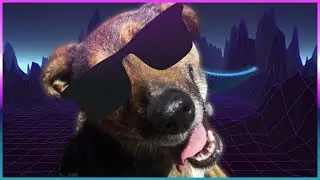 GUAU: EL PRIMER VIDEO DE YOUTUBE HECHO POR UN PERRITO