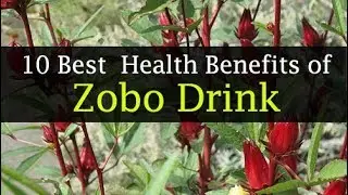 Top 10 Zobo Drink Health Benefits