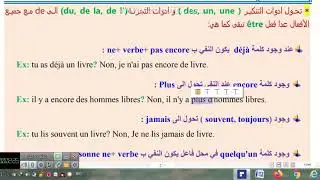 النفي/ الأستاذ سجاد عبد الأمير الطفيلي