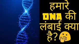 Top amazing facts | Factoverse