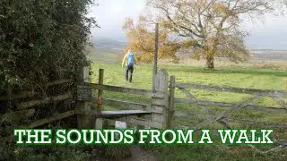 The Sounds from a Walk | Relaxing video | ASMR | Cool Dudes Walking Club