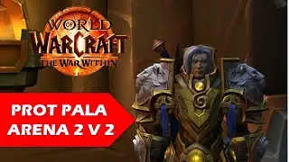 IS PROT PALADIN THE BEST TANK IN ARENAS 2 V 2 ?
