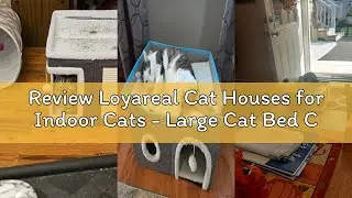 Review Loyareal Cat Houses for Indoor Cats - Large Cat Bed Cave with Scratch Pad and Fluffy Ball, Fo