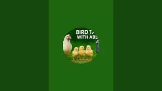 Bird Tales With Abbas is live!