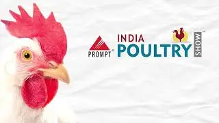 Business Opportunity in the Poultry Industry !! #poultry expo, #poultry india expo,