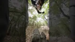 Completed My Local Trail Section #mountainunicycle #unicycle #success #gopromax