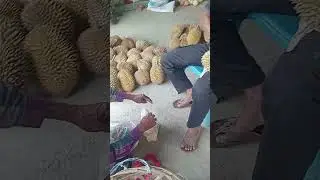 Durian Di Grobak Kupi Teupin Keubeu Matang Kuli Aceh #durian