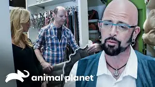 ¿Cómo 