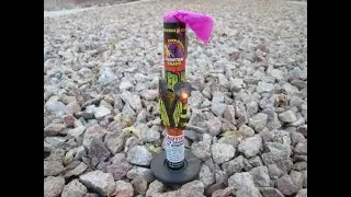 Phantom Fireworks - Killer Bee Fountain