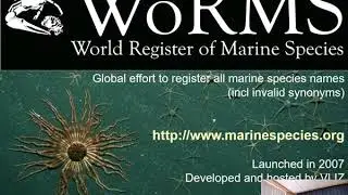 BeRMS, ERMS and WoRMS: community tools to facilitate ...  - Simon Claus