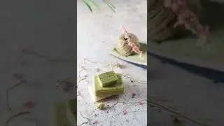 *&ldquo;₹7&ndash;8 Lakh/Month? Goat Milk Soap + Corporate Gifting = Rural Business Boom! #Shorts #youtubeshorts