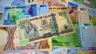 ✅ AMAZING MONEY WORLD: UGANDA Banknotes! 🇺🇬☀️🌍