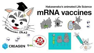 Hakaseneko's Animated Life Science: mRNA vaccine