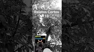 Relatos Cortos 10 - #entretenimiento #relatosnarrados #cienciaficci&oacute;n