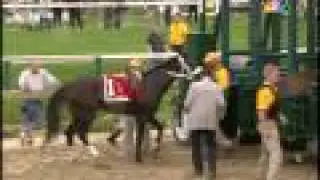 ==HQ== 134th preakness stakes rachel alexandra wins!