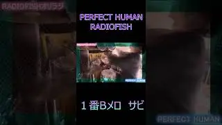 PERFECT HUMAN　ー　RADIOFISH　　＃２  #shorts