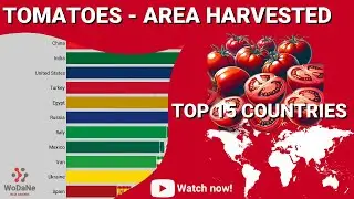 TOP 15 countries by Tomatoes - Area harvested