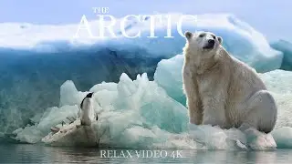THE ARCTIC 4K - WITH RELAXING MUSIC -  L 'ARTICO 4K - CON MUSICA RILASSANTE