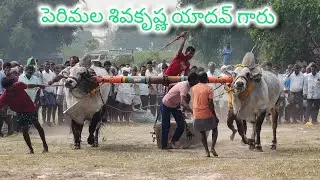 రెంటచింతల గ్రామం సీనియర్స్ విభాగం 9వ జత PSKY BULLS