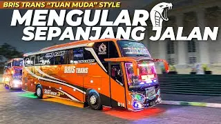 [ PERANG TELOLET BASURI MENGULAR! ] Aksi Bus VIRAL Bris Trans 