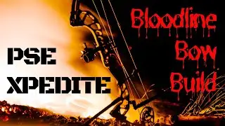2021 PSE Xpedite Bow Build & Extended Review