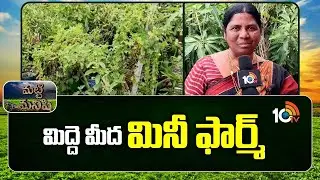 మిద్దె మీద మినీ ఫార్మ్ | Urban Farming Success Story | Mini Farm on Rooftop | Matti Manishi | 10TV