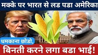 Why India Refuses to Buy American Corn in 2025 | US Trade War Explained