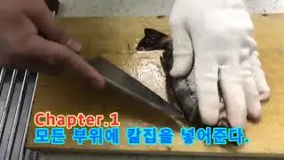 열기 손질하는 법, 불볼락 회뜨는법, goldeye rockfish