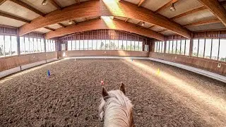 Reittraining &Uuml;bung Pylonen - Slalom